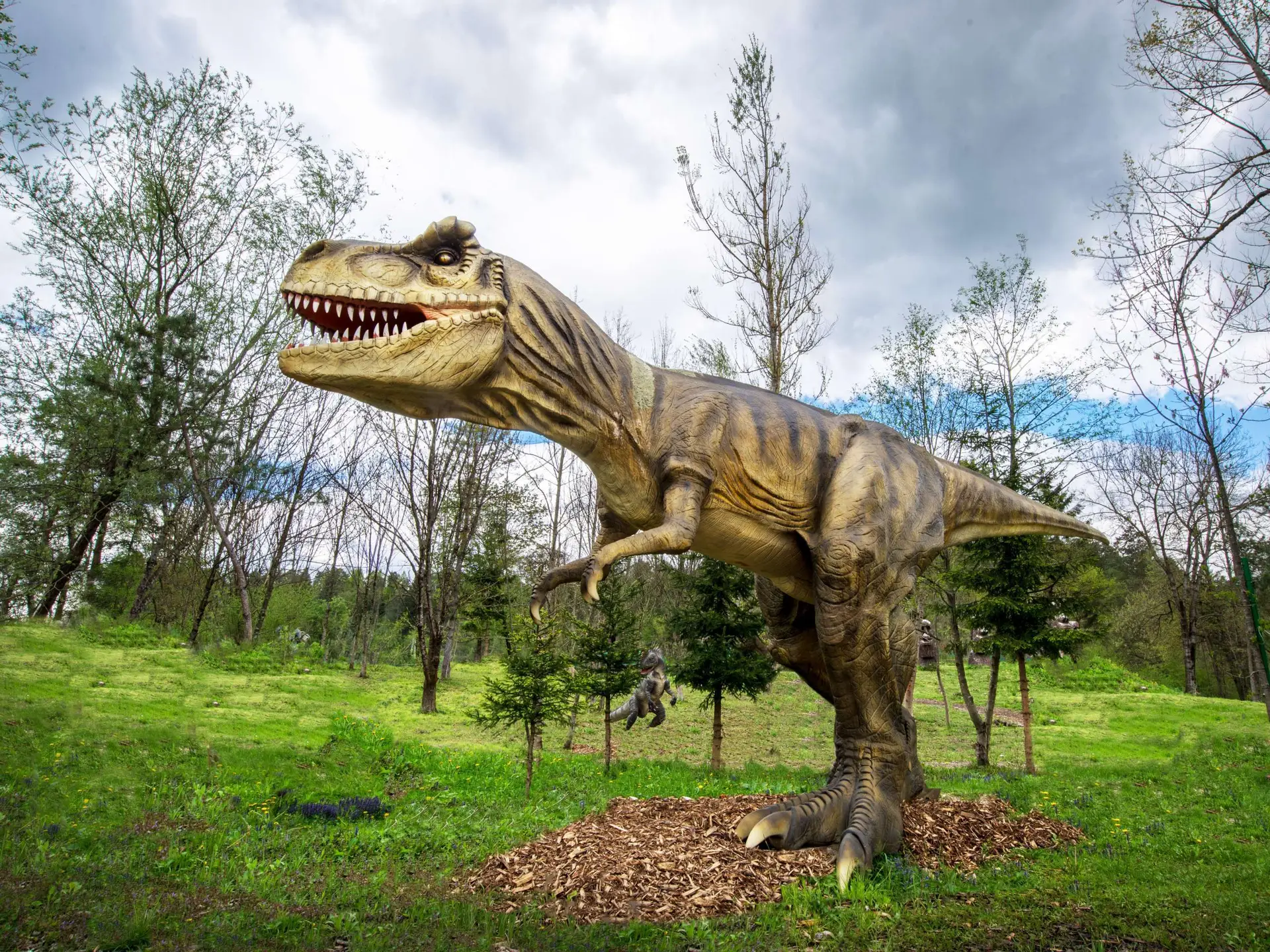 dinosaur exhibit at the adventure park